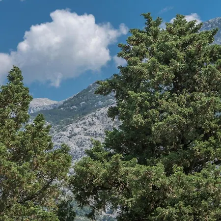 East Side Deluxe Apartment Makarska